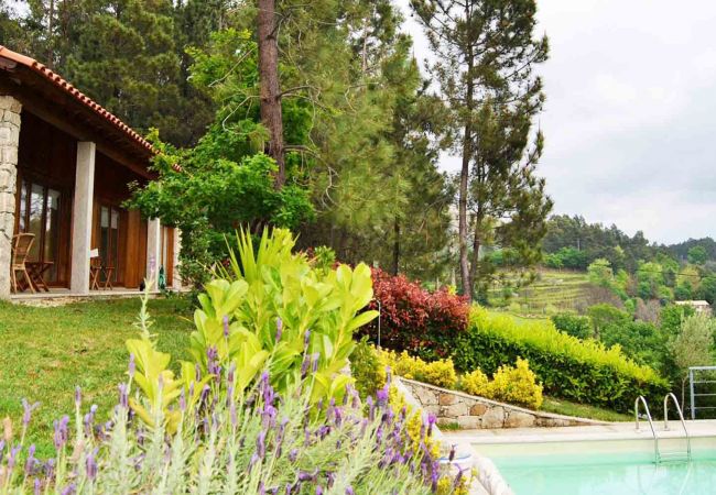 Casa de férias com piscina privada na natureza Alojamento Férias Gerês Piscina Privada