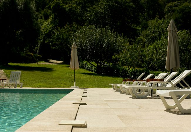 Rent by room in Vieira do Minho - Ref. 335909