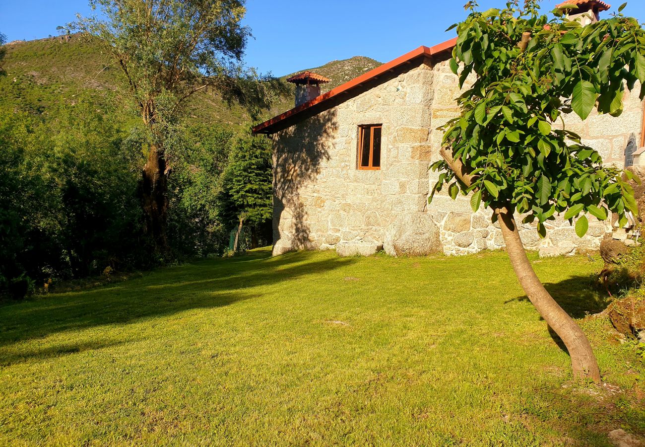 Cottage in Gerês - Ref. 373353