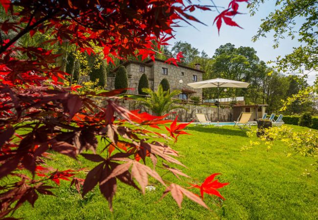 Cottage in Gerês - Ref. 466549